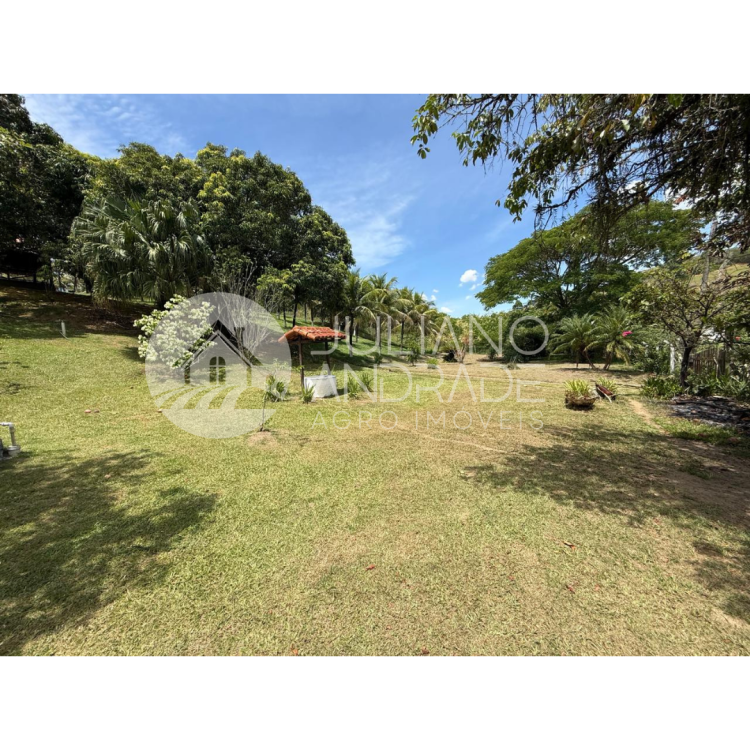 55