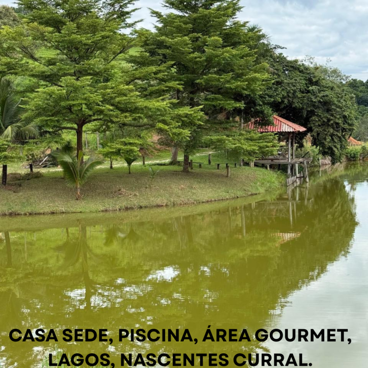 FAZENDA 31,4 ha