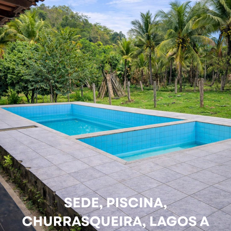 FOTO CAPA