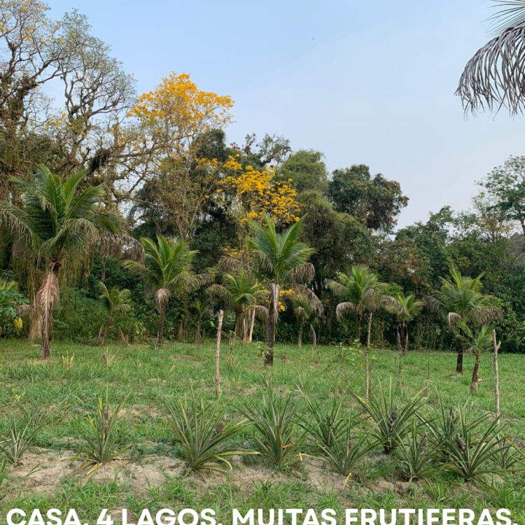 FOTO DE CAPA