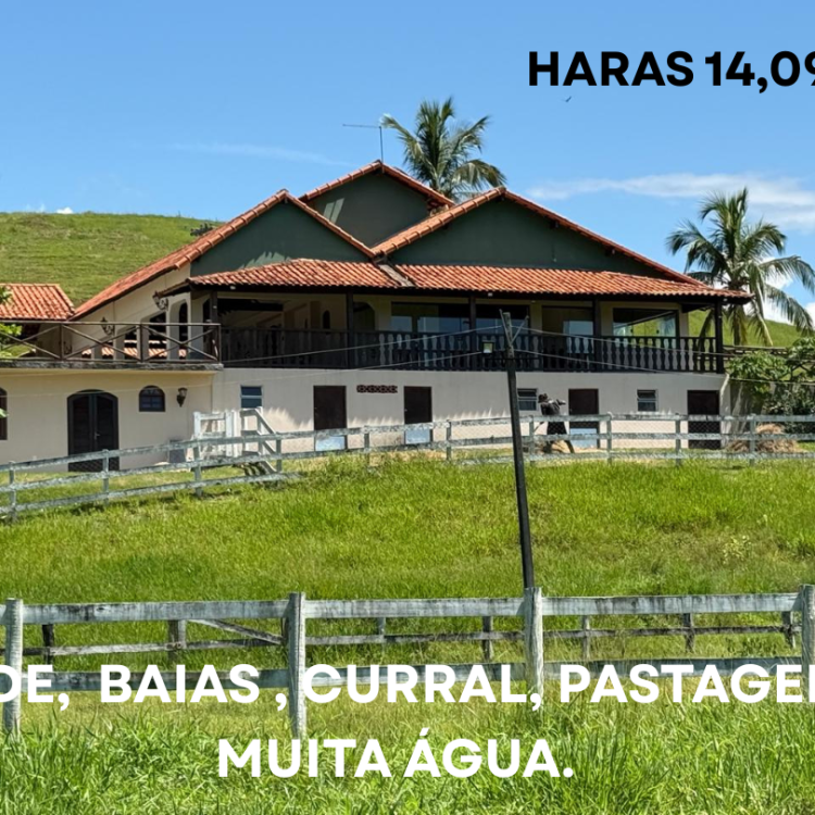 FOTO PARA CAPA