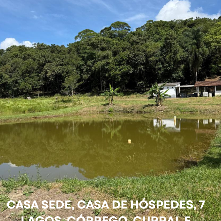 SÍTIO 18.5 ha