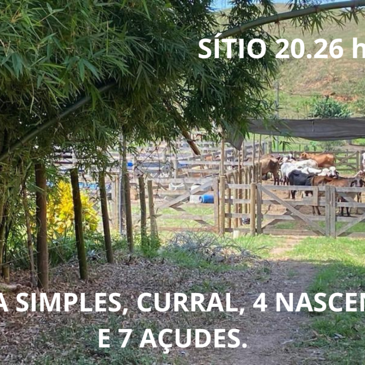 Sítio de 20.26 ha